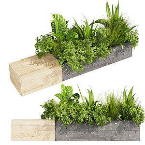 plant vol 839 - banana - bench - grass - monstera 3D model
