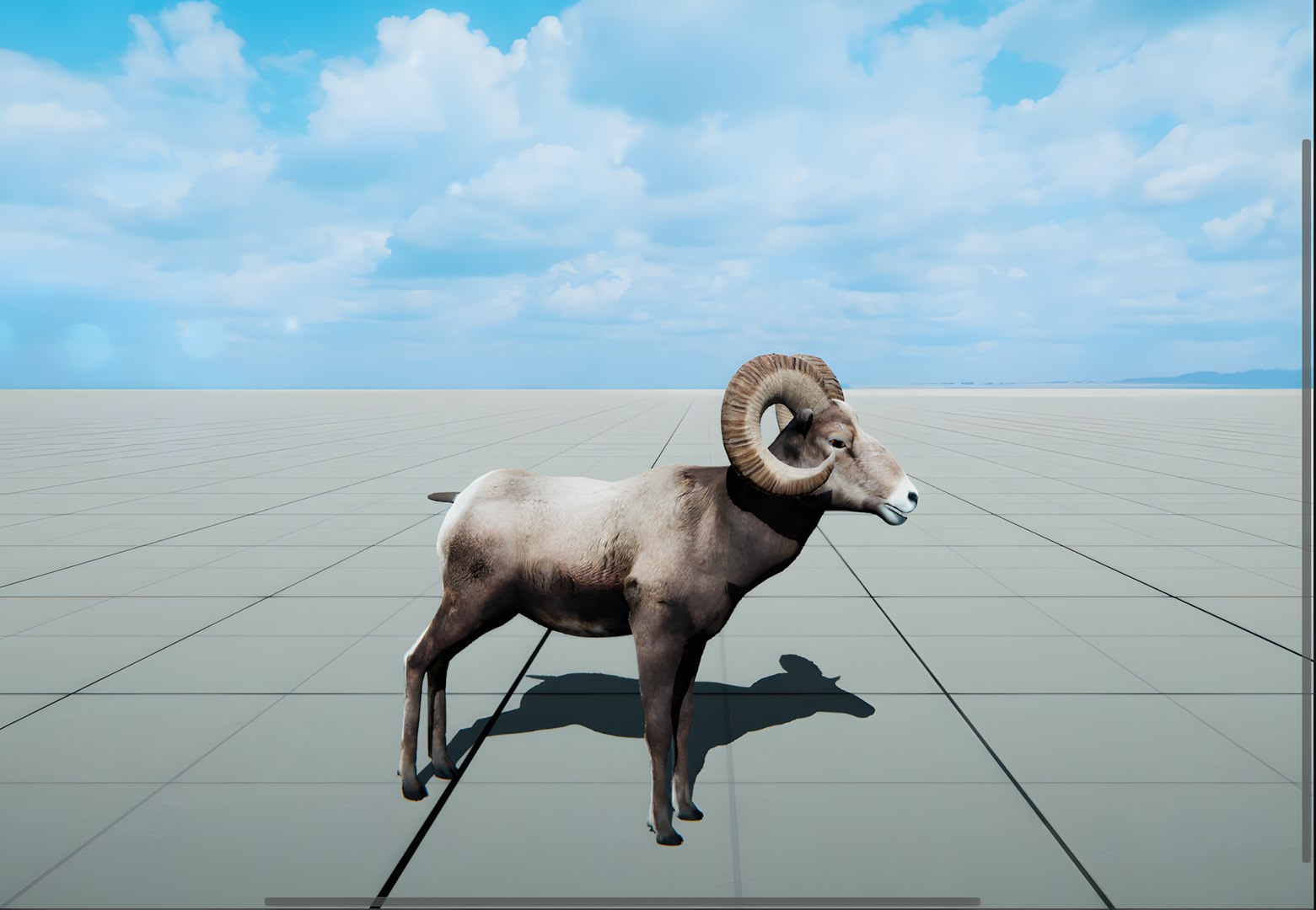 Animated Bighorn 3D Model model https://p.turbosquid.com/ts-thumb/74/VsWphu/A5/bighorn/png/1743531580/1920x1080/fit_q87/f26601b87eeb5612dac0f3c0574bef606785cbc7/bighorn.jpg