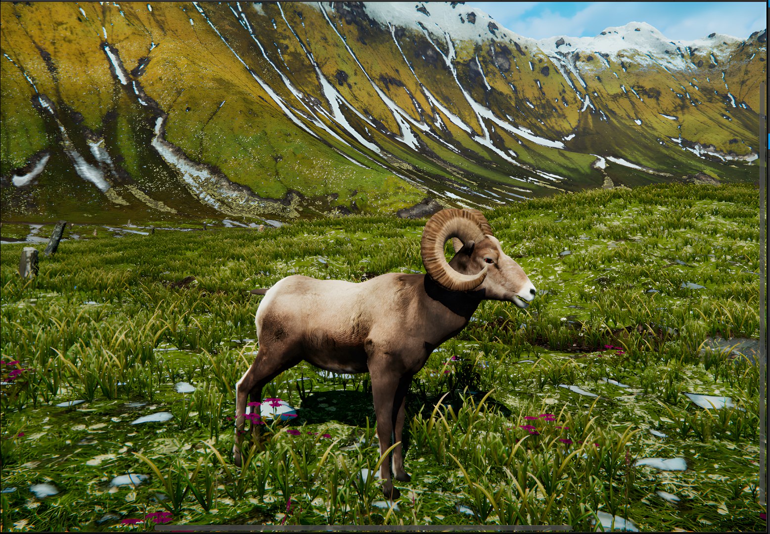 Animated Bighorn 3D Model model https://p.turbosquid.com/ts-thumb/74/VsWphu/X9/bighorn2/png/1743531581/1920x1080/fit_q87/2c4af68f6b0b815b9324d4ebe1445cd11d59e6ed/bighorn2.jpg