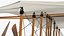 Wright Flyer Rigged for Cinema 4D