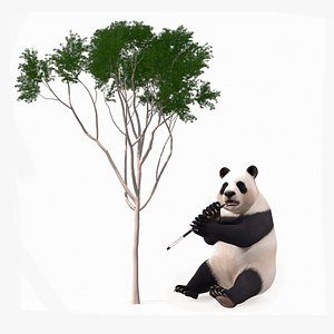 Giant Panda Fur Rigged with Eucalyptus Tree Collection