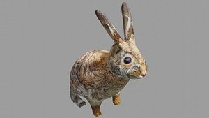 Rabbit OBJ 3D model