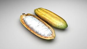Opened and Unripe Cocoa Fruit 3D