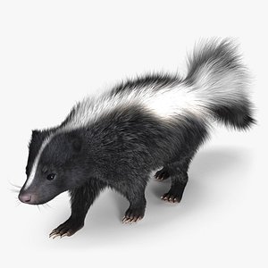 Walk Skunk Fur