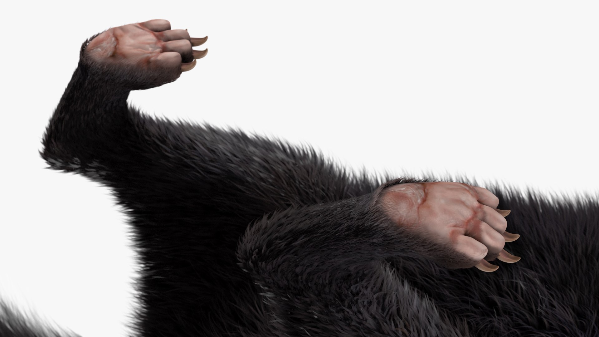 3D Walk Skunk Fur model https://p.turbosquid.com/ts-thumb/75/6wgBNp/d1/walkskunkfur3dmodel010/jpg/1691365987/1920x1080/fit_q87/233656eada56e50d3792ea61f7fb2de2ee3b8dc1/walkskunkfur3dmodel010.jpg