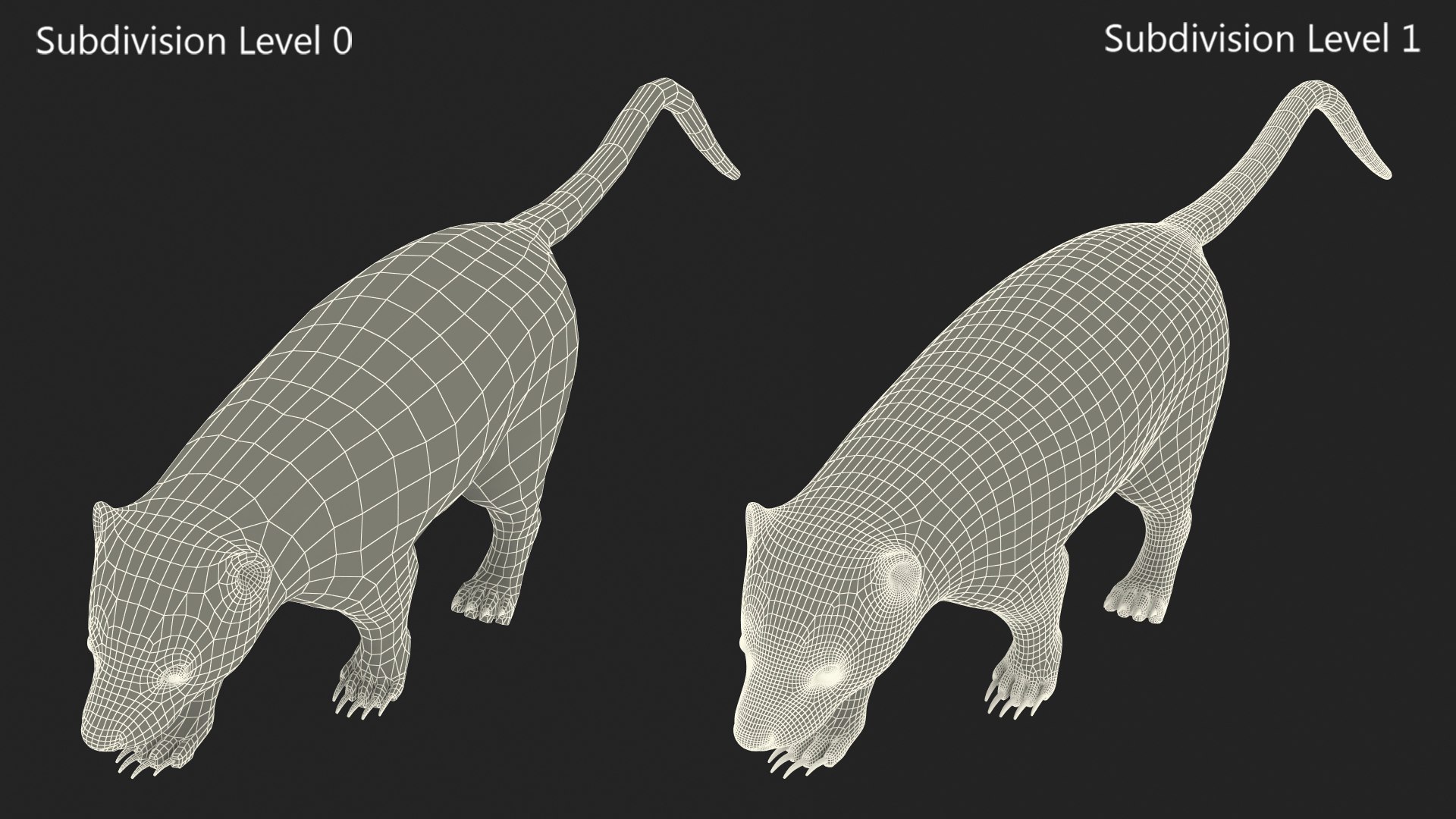 3D Walk Skunk Fur model https://p.turbosquid.com/ts-thumb/75/6wgBNp/n2/walkskunkfur3dmodel017/jpg/1691366016/1920x1080/fit_q87/60007bc872c8443c542fb33bbdc6530066cd19b7/walkskunkfur3dmodel017.jpg