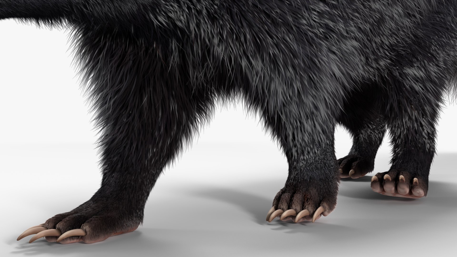3D Walk Skunk Fur model https://p.turbosquid.com/ts-thumb/75/6wgBNp/sx/walkskunkfur3dmodel012/jpg/1691365995/1920x1080/fit_q87/7e21b1bb270a89bd3a4273895d85de027dc2dee3/walkskunkfur3dmodel012.jpg