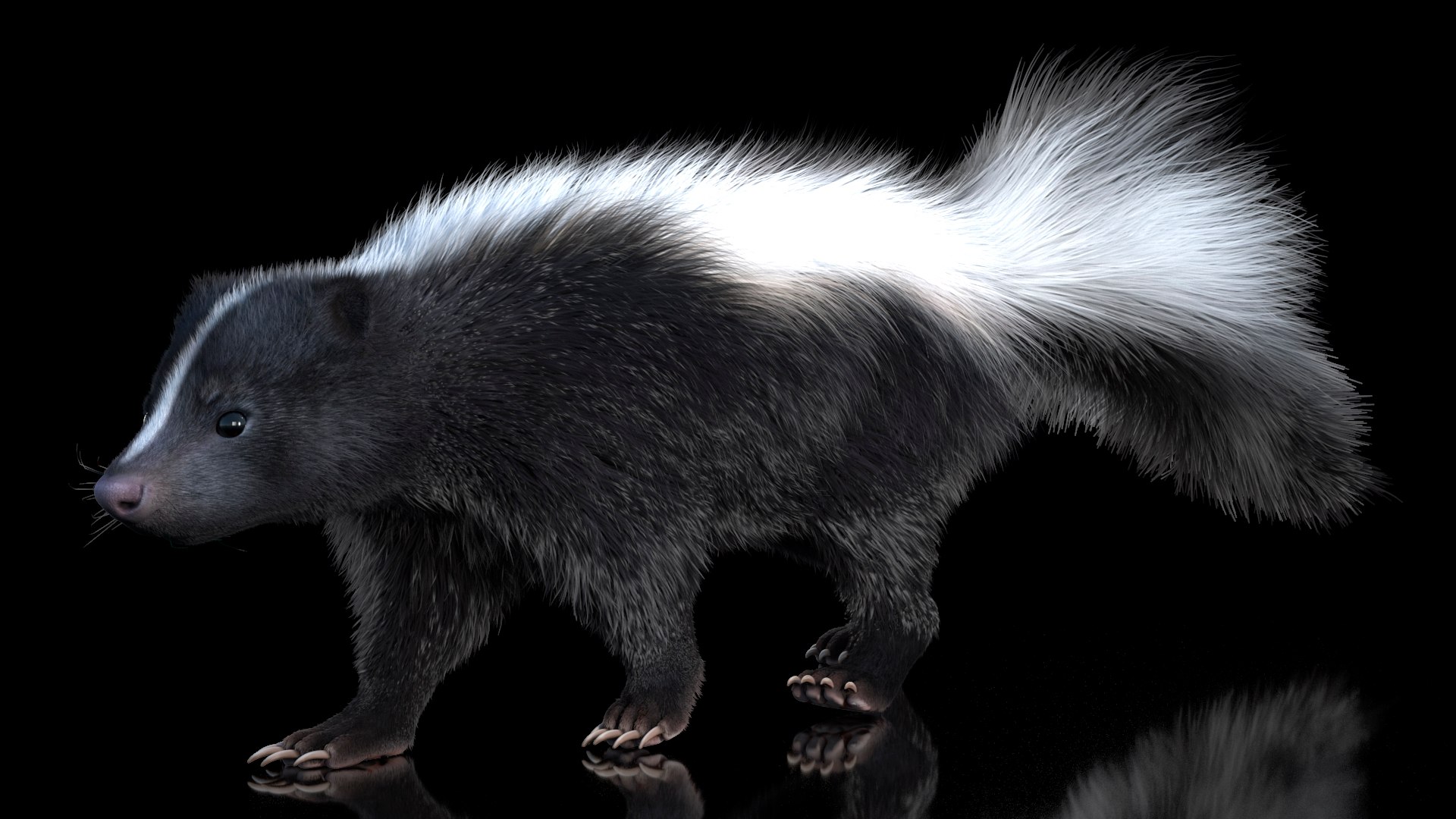 3D Walk Skunk Fur model https://p.turbosquid.com/ts-thumb/75/6wgBNp/zs/walkskunkfur3dmodel004/jpg/1691365965/1920x1080/fit_q87/3c806ba3a6ffd36103c09f13cd2e7acffc9e2ca5/walkskunkfur3dmodel004.jpg