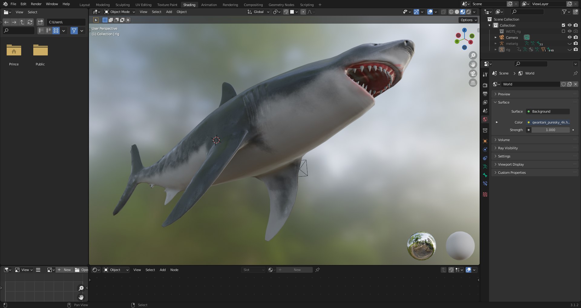 3D Great White Shark Rigged and Animation in Blender model - TurboSquid  2009398