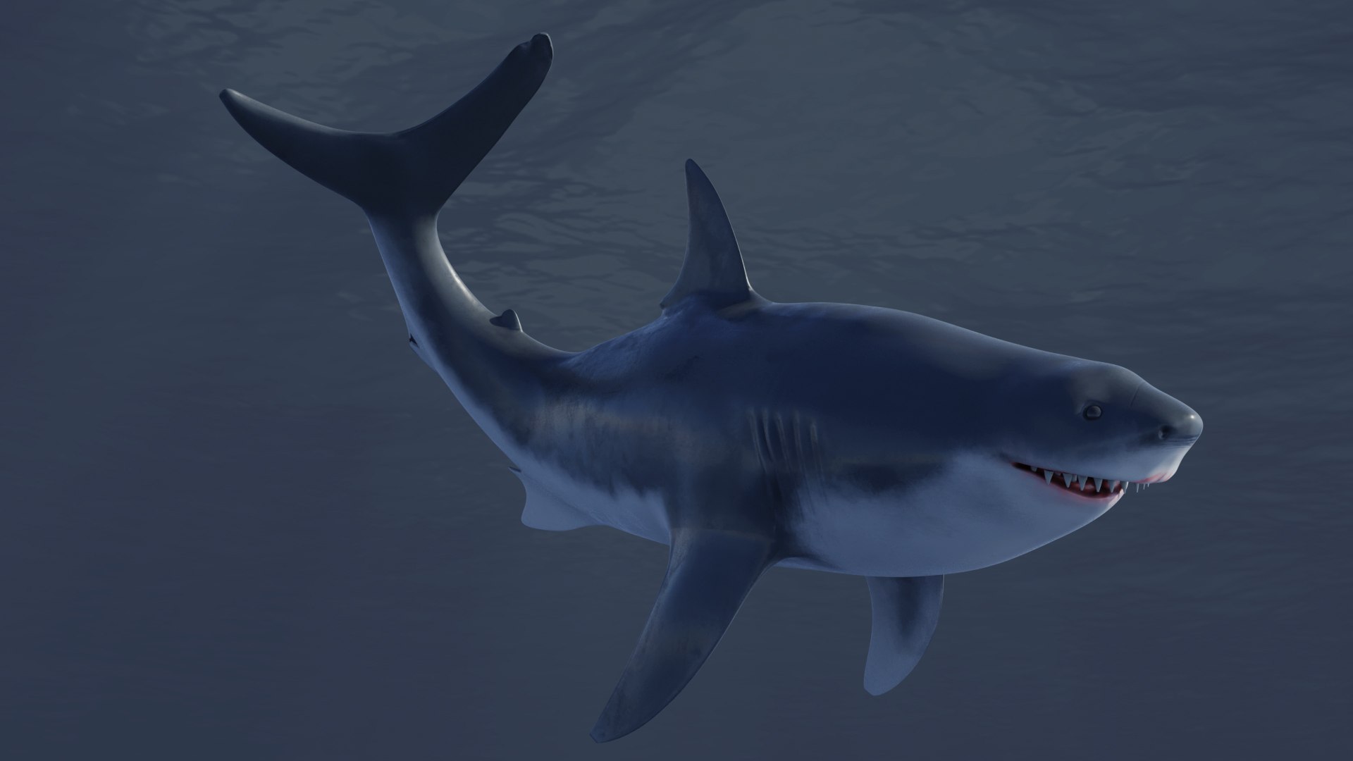 Great White Shark - Rig and model demo (Blender) 