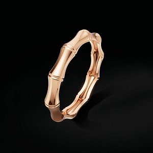 Bone Band Ring 3D Jewelry CAD Model 3DM 3D print model