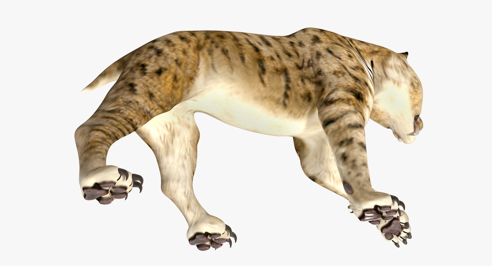 3D model saber tooth tiger rigged - TurboSquid 1379333