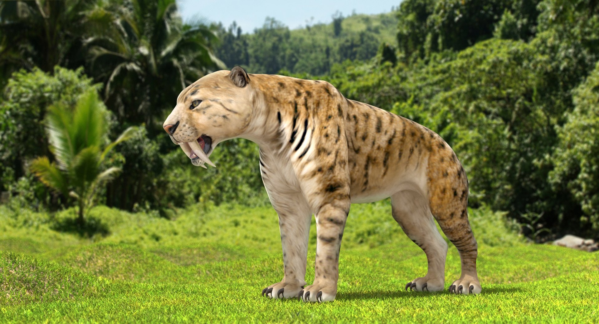 Saber Tooth Tiger Rigged for Cinema 4D 3D Model 3D model preview