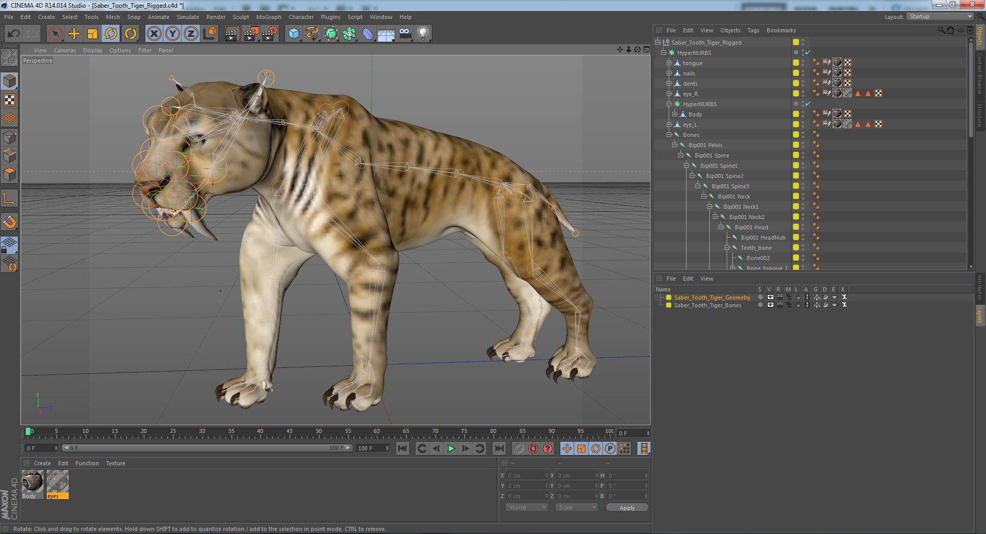 3D model saber tooth tiger rigged - TurboSquid 1379333