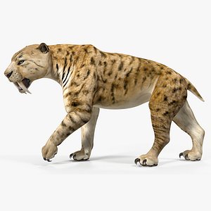Download Free & Premium Saber Tooth Tiger 3D Models | TurboSquid