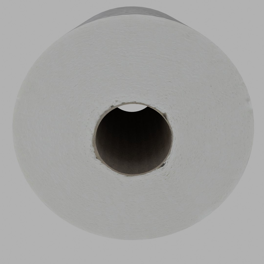 3D toilet paper roll https://p.turbosquid.com/ts-thumb/75/S0jGBi/jh7U0krX/toiletpaperroll008/jpg/1588214271/1920x1080/fit_q87/9b739088d7f91ea5b5782897a159529cc40ac5dd/toiletpaperroll008.jpg