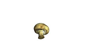 3d model champignon mushroom