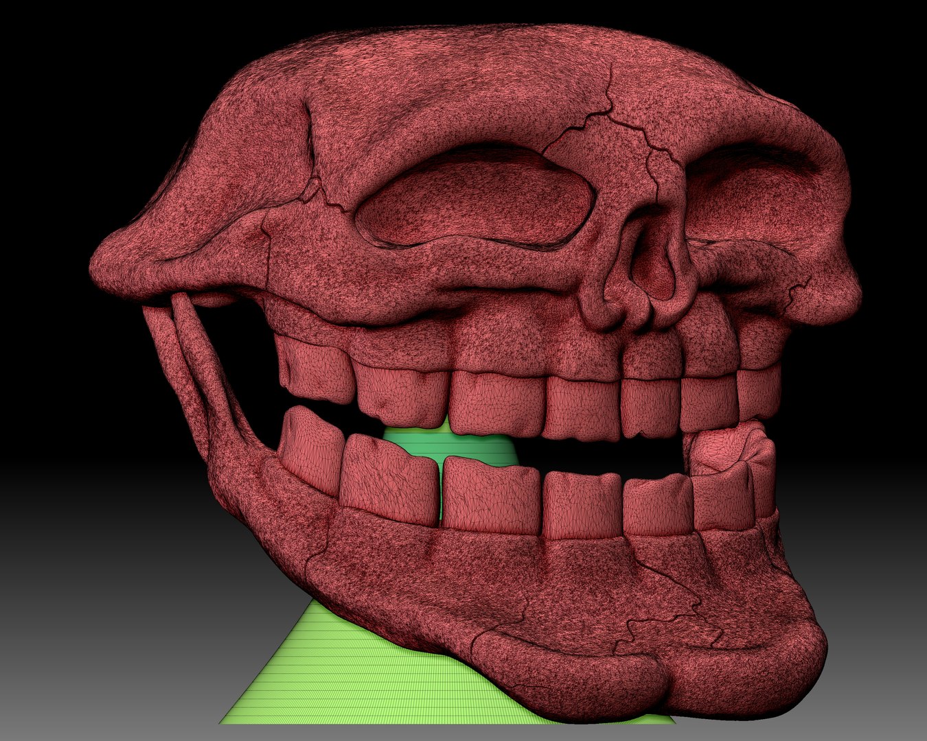 Troll Face Skull 3D printable 3D model 3D printable