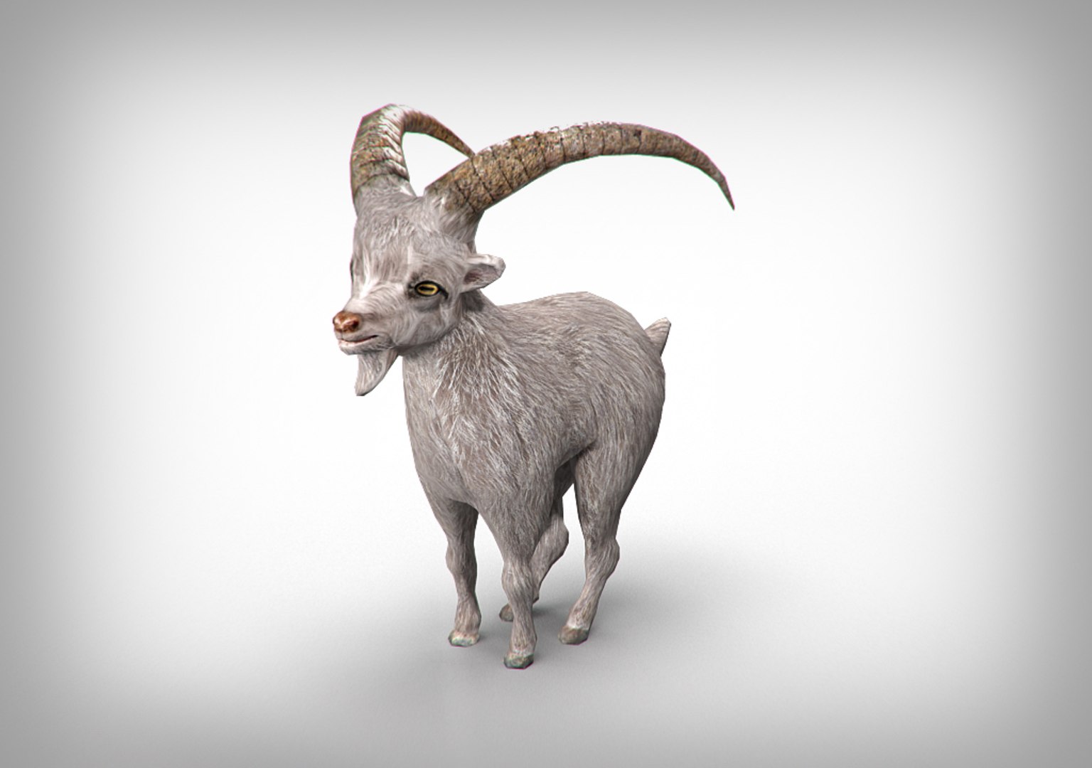 max goat