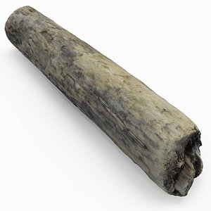 driftwood wood 3D