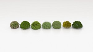 Garden Landscape Planting 3D Model-12 3D