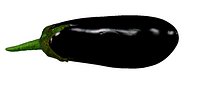 Eggplant
