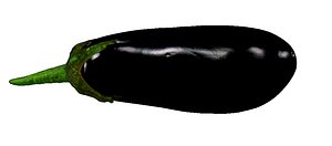 Eggplant