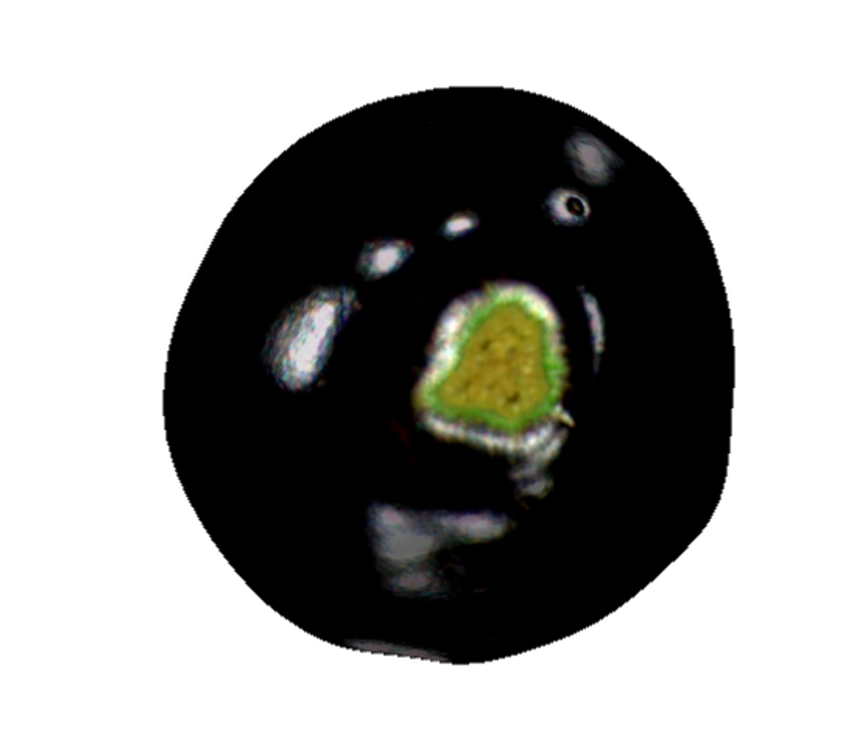 3D eggplant https://p.turbosquid.com/ts-thumb/75/z5veW0/vC0lof3q/5/png/1592314085/1920x1080/fit_q87/996d3ac3ba0b39ab95f2540c0b7a898c60715bd2/5.jpg