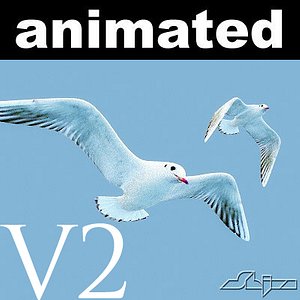 jhonatan livingstone v2 flying seagull 3d model