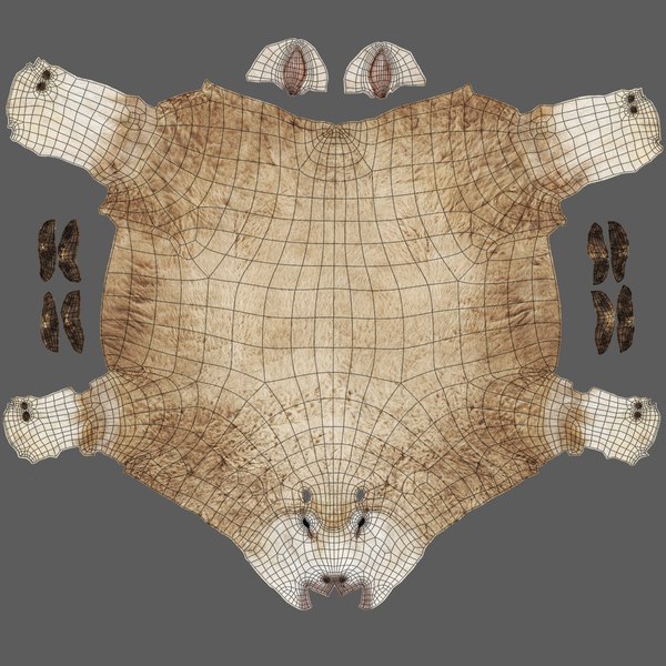3d model sheep fur