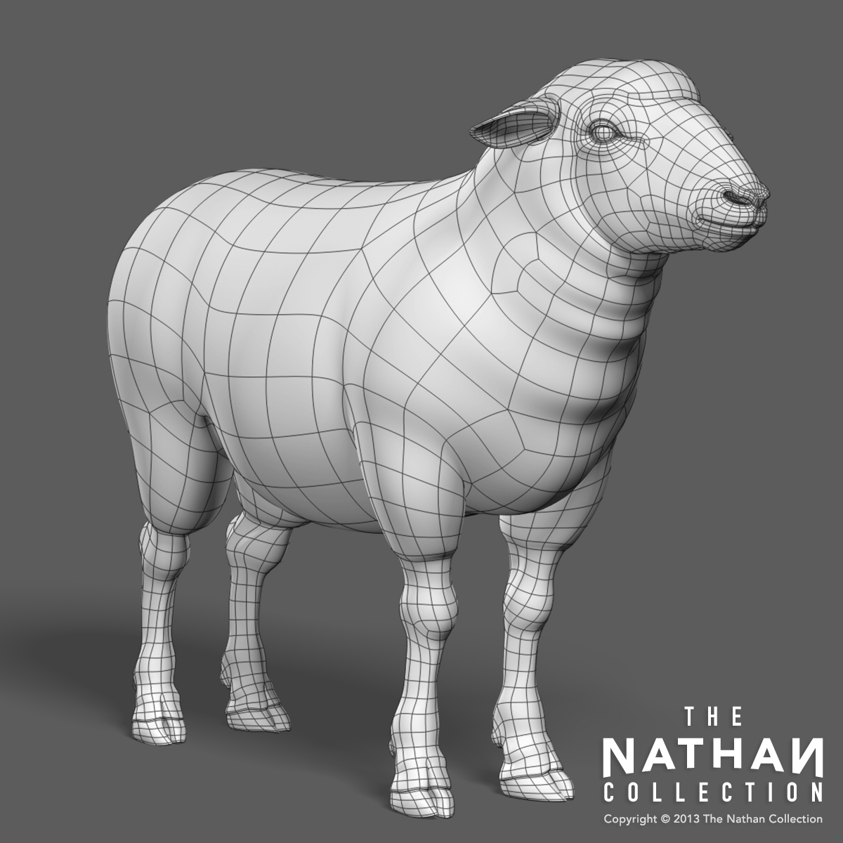 3d model sheep fur