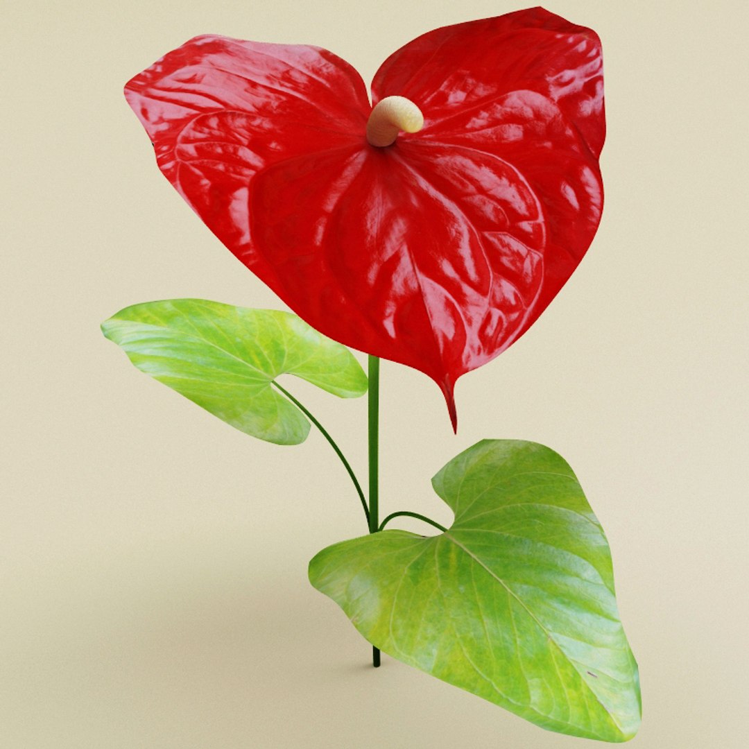 3d flowers v3 https://p.turbosquid.com/ts-thumb/76/HWutR7/2z40UwH9/flowers_collection_v3_002/jpg/1269287370/1920x1080/fit_q87/46d1133bad4576a8b3903c5712250b59f51d2080/flowers_collection_v3_002.jpg