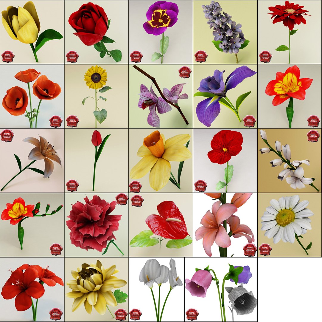 3d flowers v3 https://p.turbosquid.com/ts-thumb/76/HWutR7/LCBeyckk/flowers_collection_v3_000/jpg/1269287369/1920x1080/fit_q87/2734f282690d7f9f7a1bbc3fb571d92c00a7e6aa/flowers_collection_v3_000.jpg