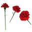 Coleção flores v3