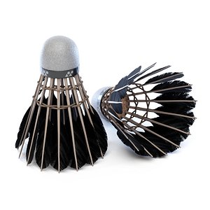 Shuttlecock 3D