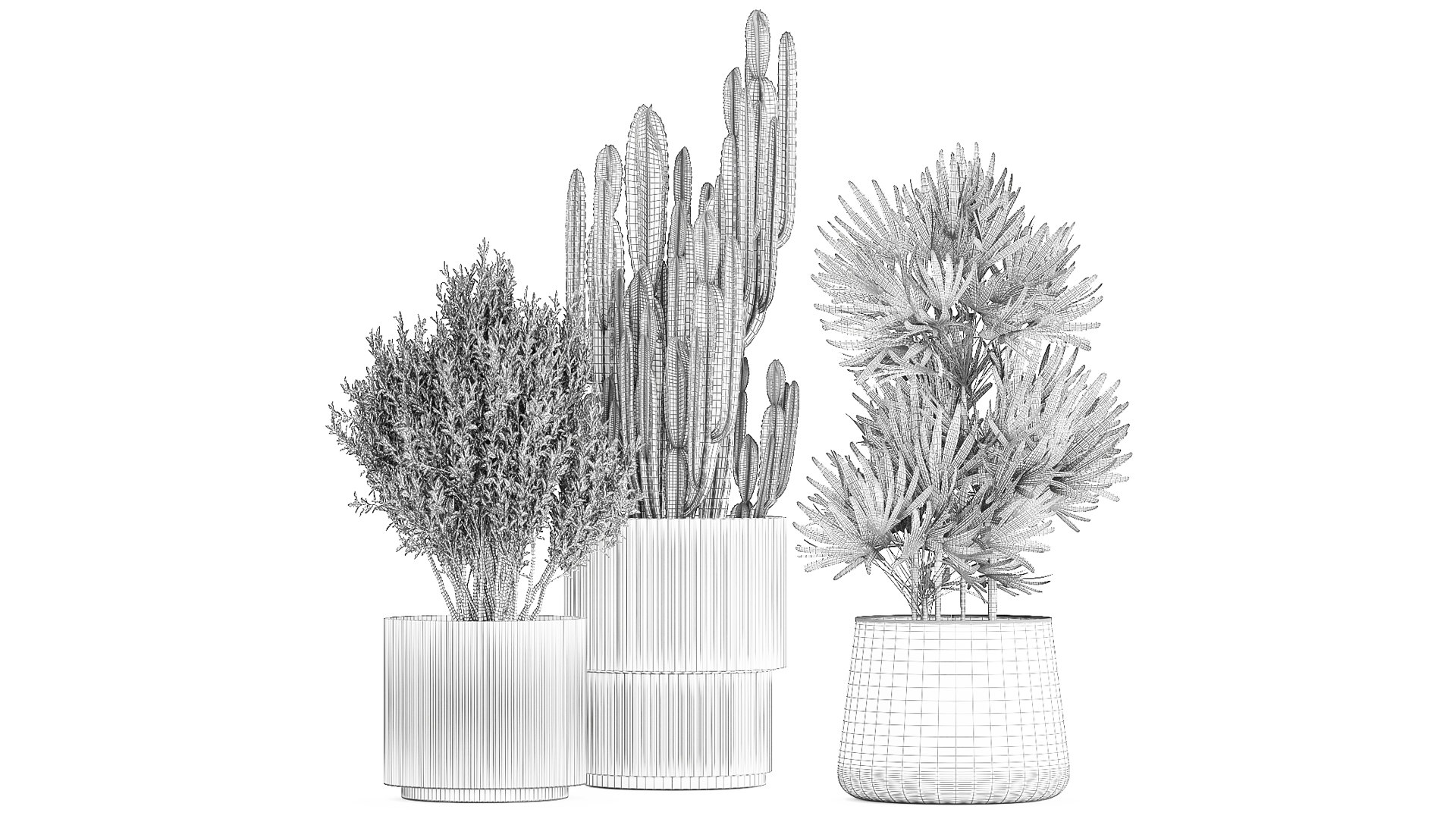 Beautiful Cereus and Olive plant in a flower pot 1248 model https://p.turbosquid.com/ts-thumb/76/SHzEZ3/9B/1zamioculcasset2003202309/jpg/1679919028/1920x1080/fit_q87/da2189d70ec4eae3c79b9f9fe0ff36be0e277b3a/1zamioculcasset2003202309.jpg