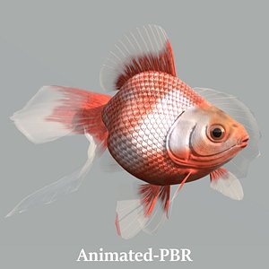3D model fish goldfish