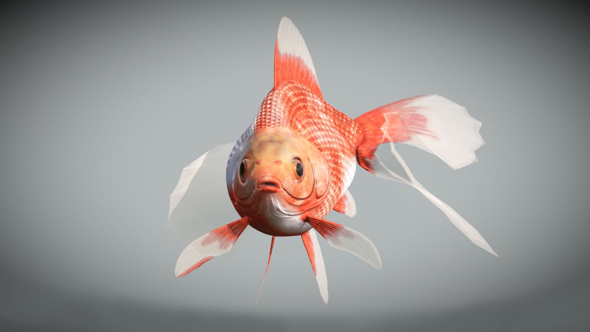 3D model fish goldfish https://p.turbosquid.com/ts-thumb/76/TxPw8l/CH/preview03/jpg/1608573846/1920x1080/fit_q87/4f77da4f272786030b1c8804ae31ae37b5460305/preview03.jpg