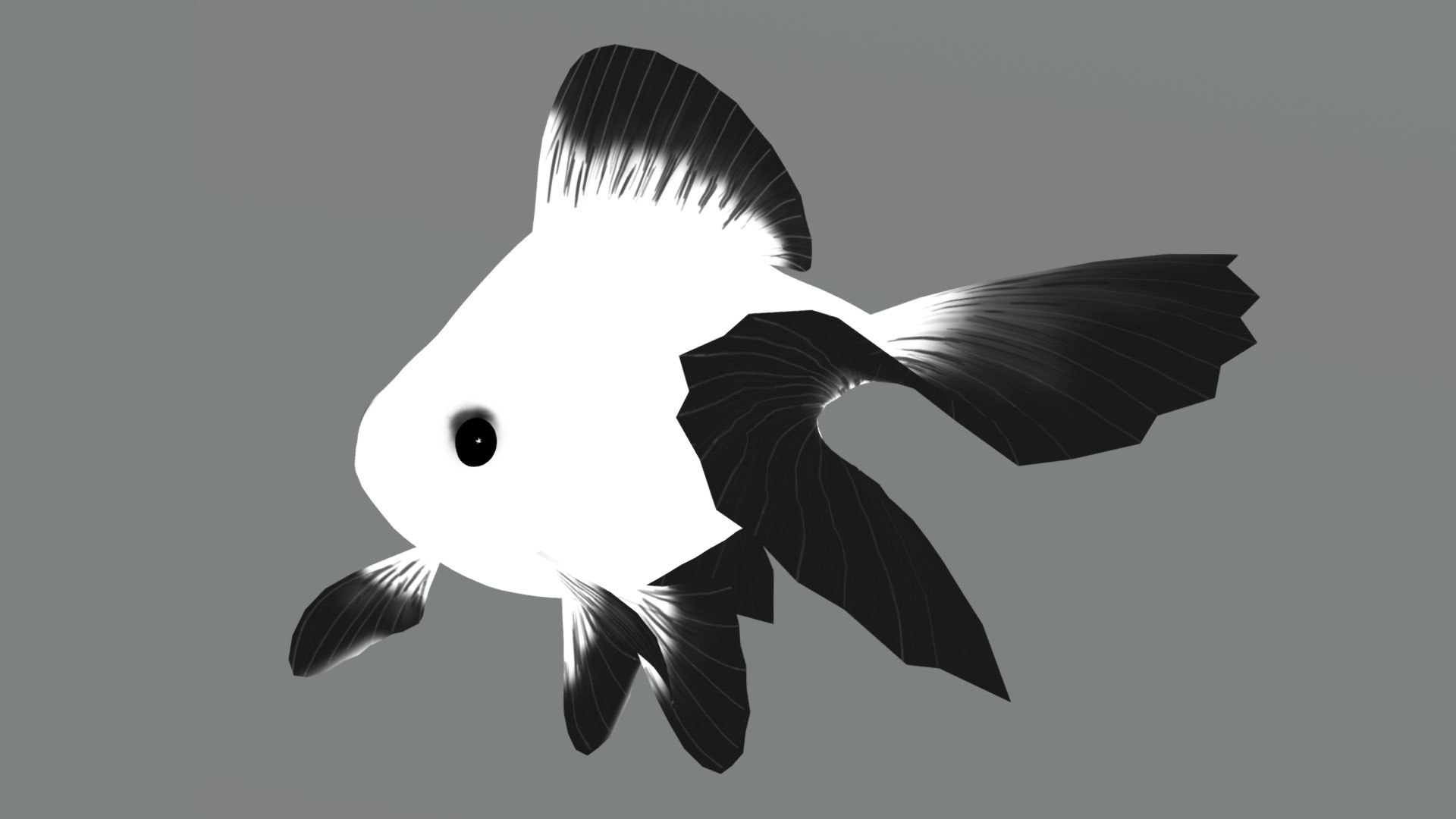 3D model fish goldfish https://p.turbosquid.com/ts-thumb/76/TxPw8l/T7/preview08/jpg/1608573847/1920x1080/fit_q87/5af30537162cbffa7ba2e1136dda065c16615c57/preview08.jpg