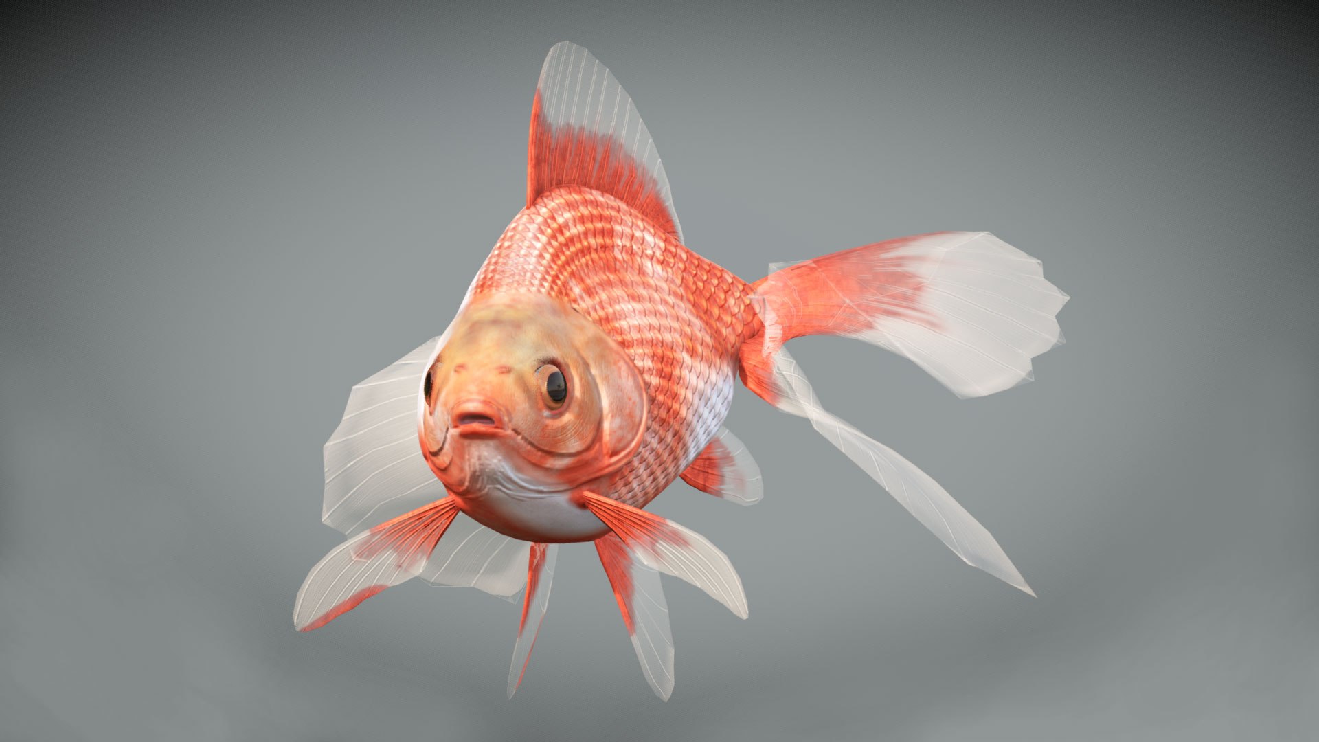3D model fish goldfish https://p.turbosquid.com/ts-thumb/76/TxPw8l/TQ/preview05/jpg/1608573846/1920x1080/fit_q87/e2ebcb7aa099a2c01ba8f3174ed6dcdf0b26e76c/preview05.jpg