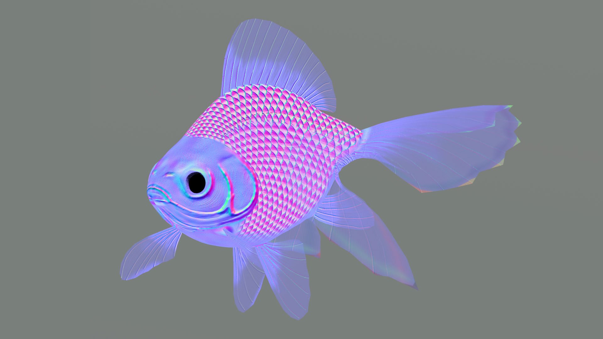 3D model fish goldfish https://p.turbosquid.com/ts-thumb/76/TxPw8l/kR/preview09/jpg/1608573847/1920x1080/fit_q87/6451c6f149f55eefe1d1aa3daccd91aaf83c1a54/preview09.jpg