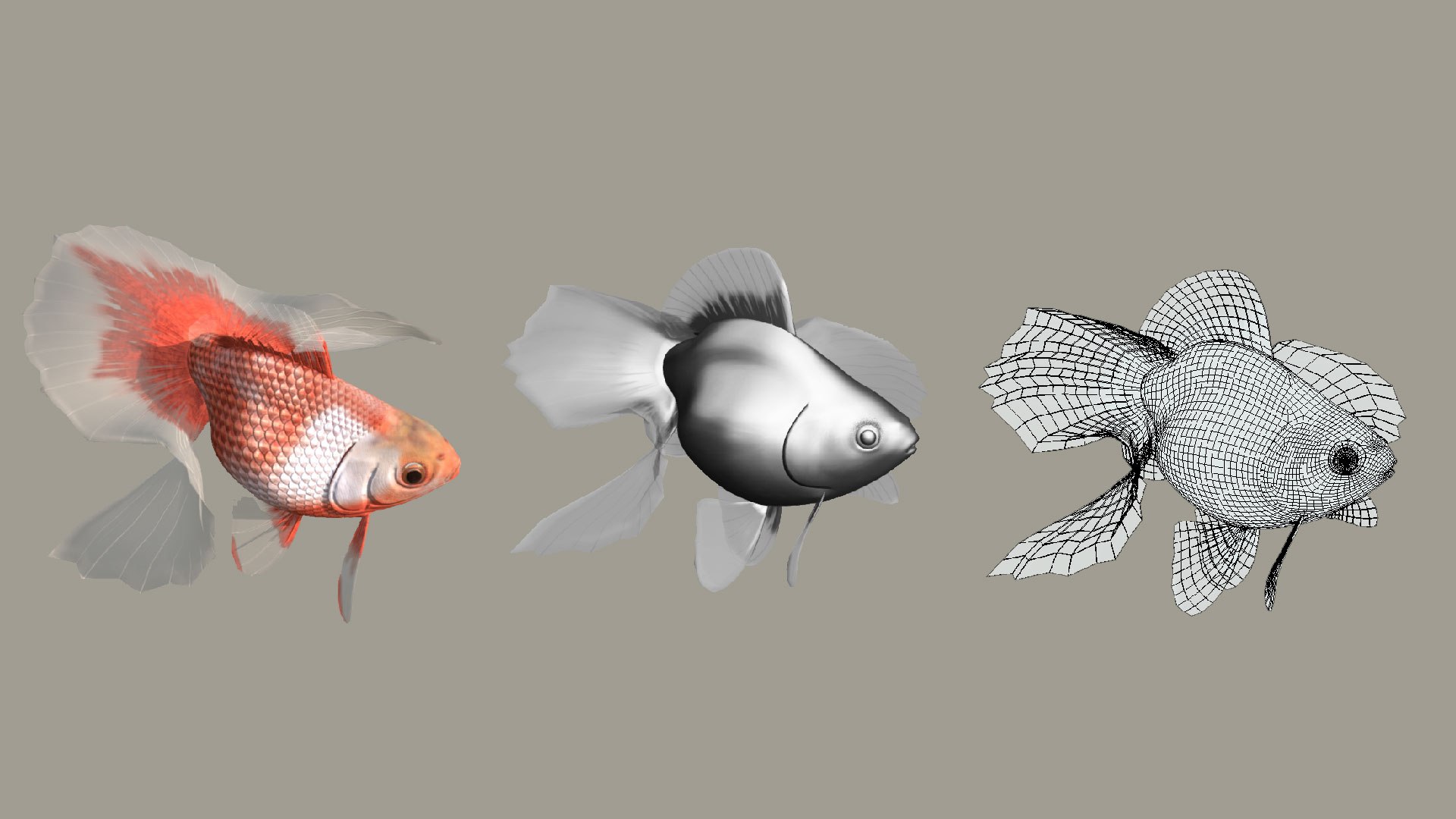 3D model fish goldfish https://p.turbosquid.com/ts-thumb/76/TxPw8l/mQ/preview10/jpg/1608573848/1920x1080/fit_q87/be78021a456a5565db7f5ba2606ad378a817244a/preview10.jpg