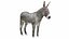 Donkey Gray
