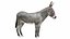 Donkey Gray