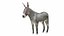 Donkey Gray