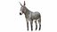 Donkey Gray