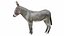 Donkey Gray