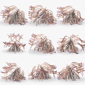 3D Alien plants set 004