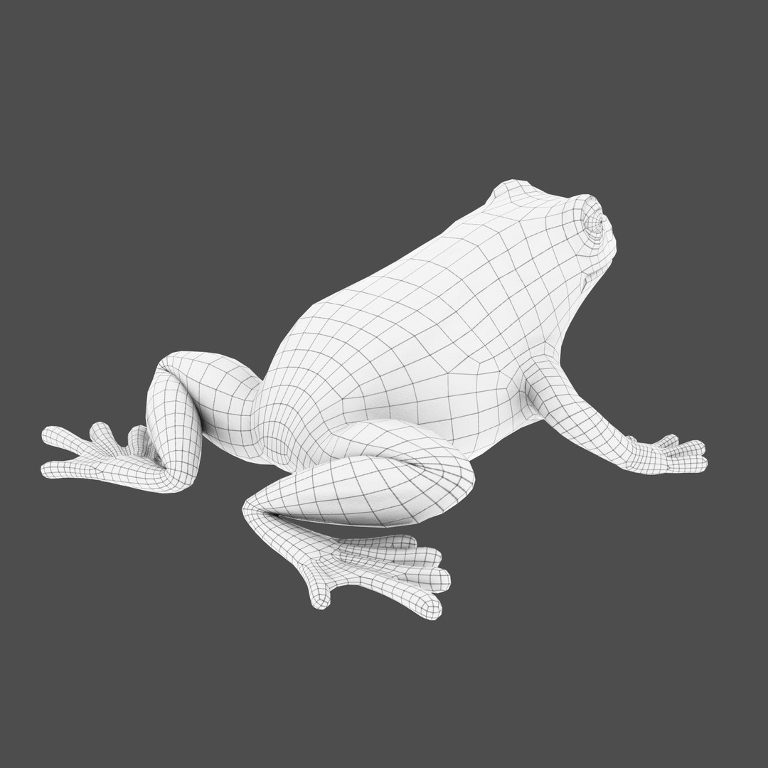 3D model modelled texturing rigging https://p.turbosquid.com/ts-thumb/76/nMBdC8/mFh3ghEX/wireframe_05/png/1585983061/1920x1080/fit_q87/8e83b39c2439db6283a898cff624265b73c9d747/wireframe_05.jpg