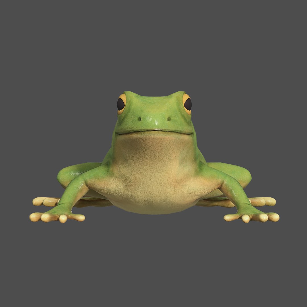 3D model modelled texturing rigging https://p.turbosquid.com/ts-thumb/76/nMBdC8/yh5jqHU8/frog_01/png/1585982895/1920x1080/fit_q87/3a32102264288d7918b434372db20bf621a1e70d/frog_01.jpg